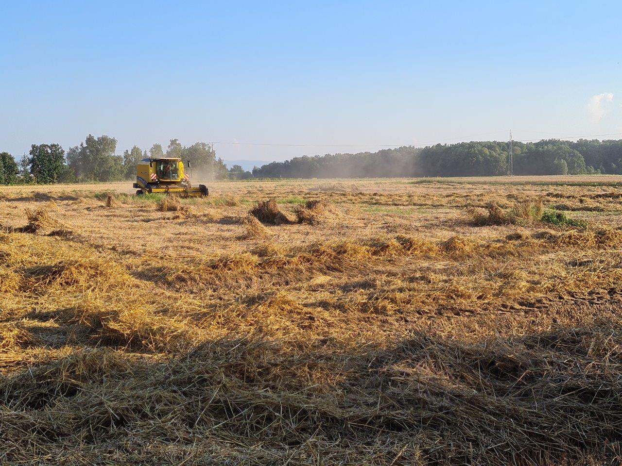 Sposób realizacji Powszechnego Spisu Rolnego