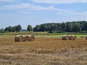 Usuwanie folii rolniczych i innych odpadów pochod