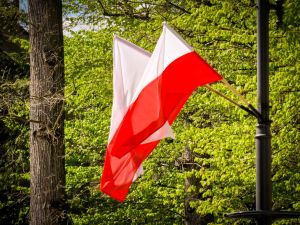 Dzień Flagi Rzeczypospolitej Polskiej w Pszczynie