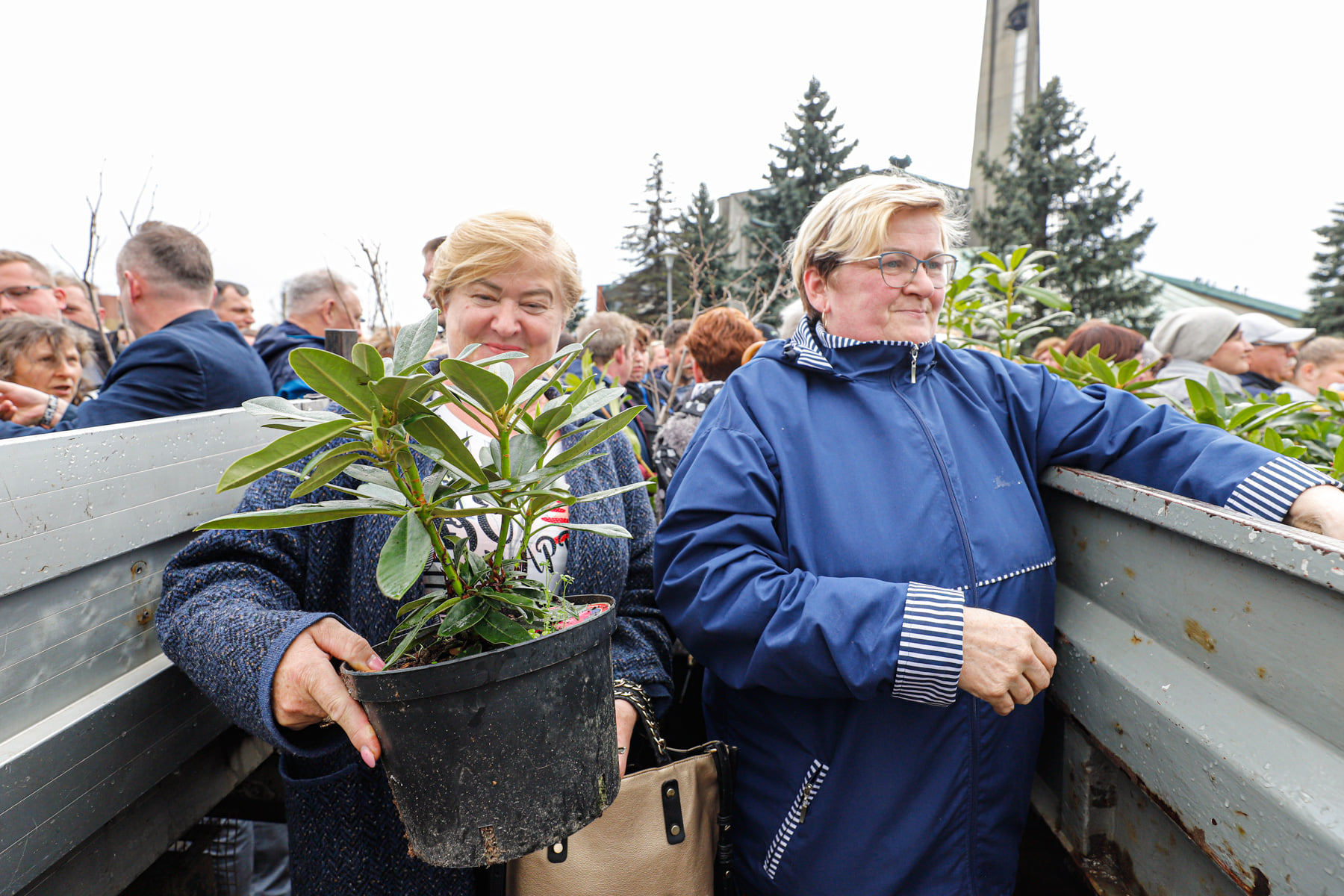 Mieszkańcy  odebrali 1000 pięknych krzewów