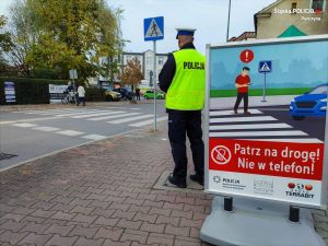 Wspólne działania Urzędu Miejskiego i pszczyńs