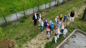 Ponad 50 drzew posadzono na osiedlu Piastów