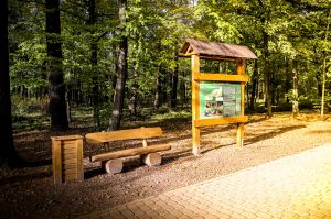 Lekcje terenowe dla dzieci i młodzieży w pszczy