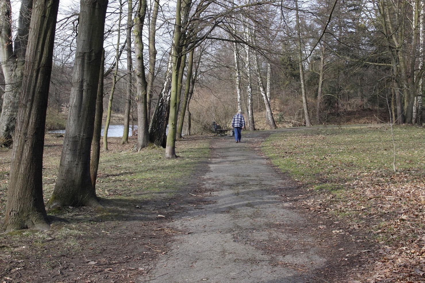 Wyremontują alejkę wzdłuż „Łabędzioka”