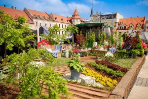 Pszczyński rynek znów zakwitnie - w weekend Ogro