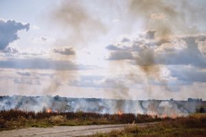 ARiMR przypomina - wypalanie traw grozi utratą do