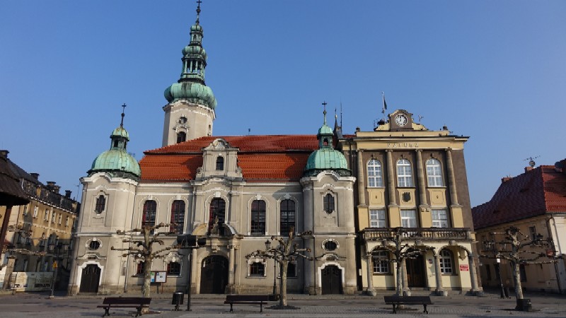 Uniwersytet Ekonomiczny przeprowadza badania miesz