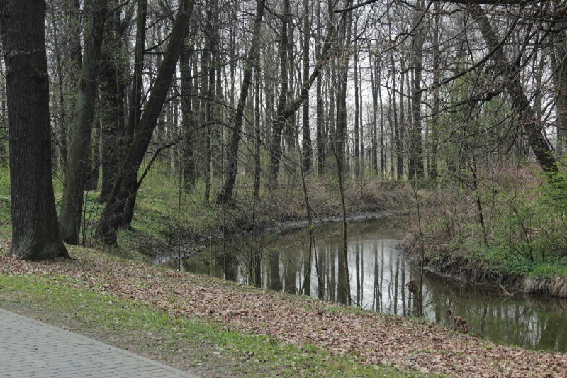 Ogromne pieniądze na Park Zwierzyniec