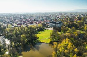 Międzynarodowy Dzień Muzeów