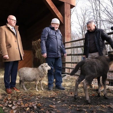 Nowy mieszkaniec Pokazowej Zagrody Żubrów