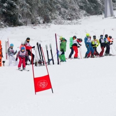 Mistrzostwa Pszczyny i Ziemi Pszczyńskiej w Narciarstwie Alpejskim i Snowboardzie