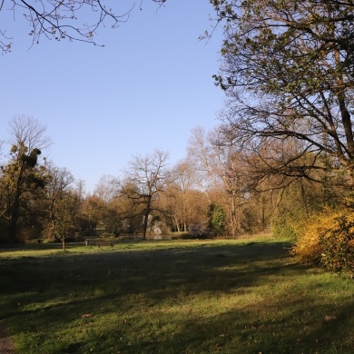 Park Zamkowy w Pszczynie - 20.04.2020