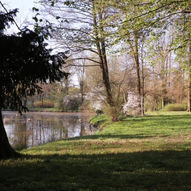 Park Zamkowy w Pszczynie - 20.04.2020