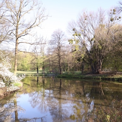 Park Zamkowy w Pszczynie - 20.04.2020