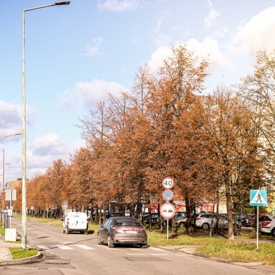 Ulica Marii Skłodowskiej-Curie w Pszczynie - 20.11.2020