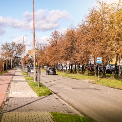 Ulica Marii Skłodowskiej-Curie w Pszczynie - 20.11.2020