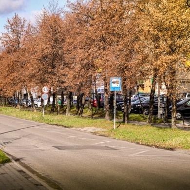 Ulica Marii Skłodowskiej-Curie w Pszczynie - 20.11.2020