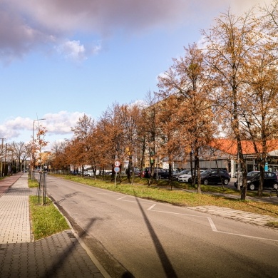 Ulica Marii Skłodowskiej-Curie w Pszczynie - 20.11.2020