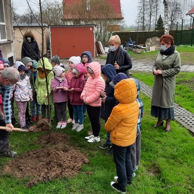 Światowy Dzień Ziemi w Pszczynie - 22.04.2021