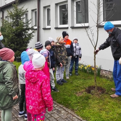 Światowy Dzień Ziemi w Pszczynie - 22.04.2021