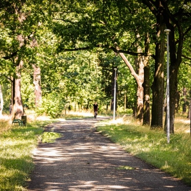 Nowe oświetlenie w Parku Zwierzyniec w Pszczynie - 29.07.2021