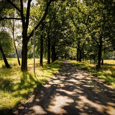 Nowe oświetlenie w Parku Zwierzyniec w Pszczynie - 29.07.2021