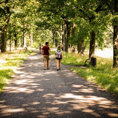 Nowe oświetlenie w Parku Zwierzyniec w Pszczynie - 29.07.2021