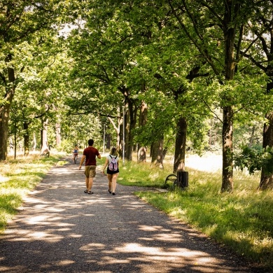 Nowe oświetlenie w Parku Zwierzyniec w Pszczynie - 29.07.2021