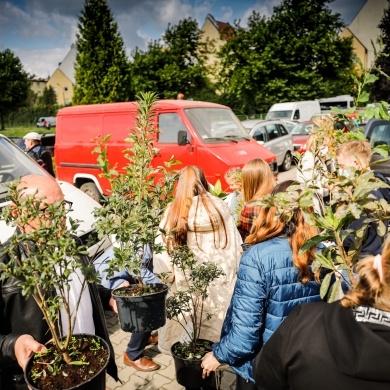 Inicjatywa wręczania mieszkańcom krzewów powiązana z akcją Gramy czysto! #smogover - 21.09.2021