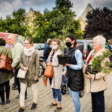 Inicjatywa wręczania mieszkańcom krzewów powiązana z akcją Gramy czysto! #smogover - 21.09.2021