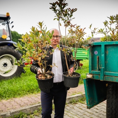 Inicjatywa wręczania mieszkańcom krzewów powiązana z akcją Gramy czysto! #smogover - 21.09.2021