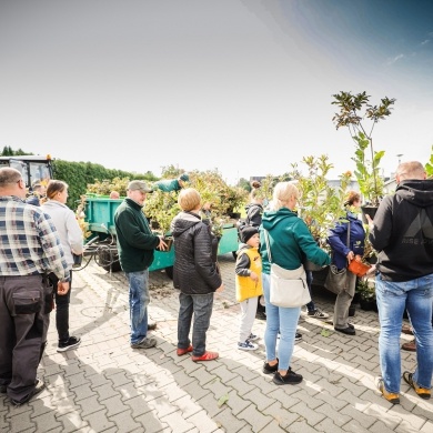 Inicjatywa wręczania mieszkańcom krzewów powiązana z akcją Gramy czysto! #smogover - 21.09.2021