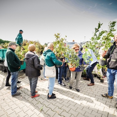 Inicjatywa wręczania mieszkańcom krzewów powiązana z akcją Gramy czysto! #smogover - 21.09.2021