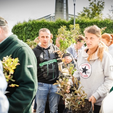 Inicjatywa wręczania mieszkańcom krzewów powiązana z akcją Gramy czysto! #smogover - 21.09.2021