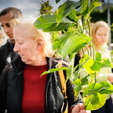 Inicjatywa wręczania mieszkańcom krzewów powiązana z akcją Gramy czysto! #smogover - 21.09.2021