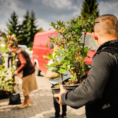 Inicjatywa wręczania mieszkańcom krzewów powiązana z akcją Gramy czysto! #smogover - 21.09.2021