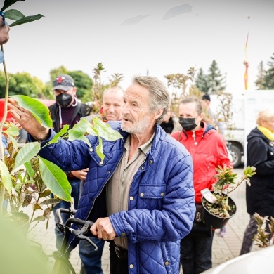 Inicjatywa wręczania mieszkańcom krzewów powiązana z akcją Gramy czysto! #smogover - 21.09.2021