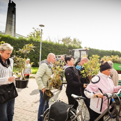 Inicjatywa wręczania mieszkańcom krzewów powiązana z akcją Gramy czysto! #smogover - 21.09.2021