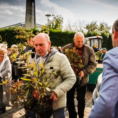 Inicjatywa wręczania mieszkańcom krzewów powiązana z akcją Gramy czysto! #smogover - 21.09.2021