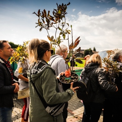 Inicjatywa wręczania mieszkańcom krzewów powiązana z akcją Gramy czysto! #smogover - 21.09.2021