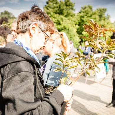 Inicjatywa wręczania mieszkańcom krzewów powiązana z akcją Gramy czysto! #smogover - 21.09.2021