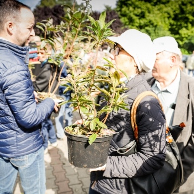 Inicjatywa wręczania mieszkańcom krzewów powiązana z akcją Gramy czysto! #smogover - 21.09.2021