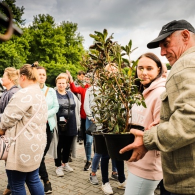 Inicjatywa wręczania mieszkańcom krzewów powiązana z akcją Gramy czysto! #smogover - 21.09.2021