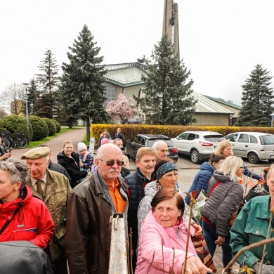 Akcja rozdawania krzewów w Pszczynie z okazji Dnia Ziemi - 25.04.2022