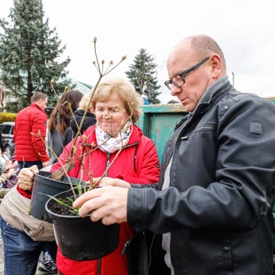 Akcja rozdawania krzewów w Pszczynie z okazji Dnia Ziemi - 25.04.2022