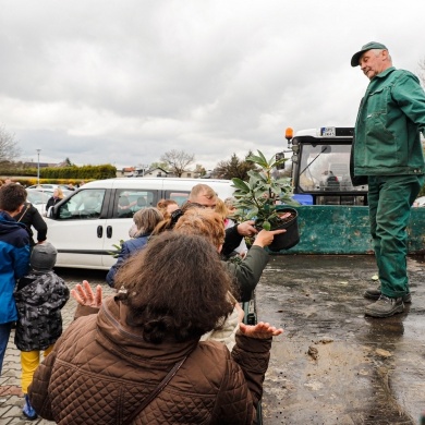 Akcja rozdawania krzewów w Pszczynie z okazji Dnia Ziemi - 25.04.2022