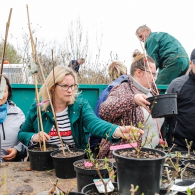 Akcja rozdawania krzewów w Pszczynie z okazji Dnia Ziemi - 25.04.2022