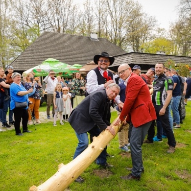 Stawianie moja w pszczyńskim skansenie - 01.05.2022