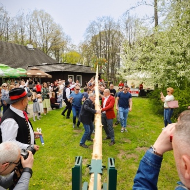 Stawianie moja w pszczyńskim skansenie - 01.05.2022