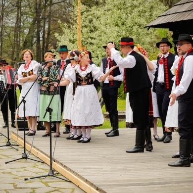 Stawianie moja w pszczyńskim skansenie - 01.05.2022